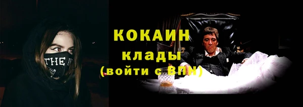 сатива Волосово