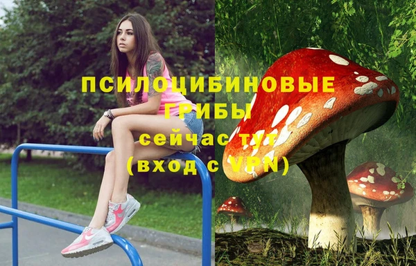 гидра Волоколамск