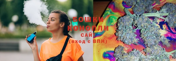 сатива Волосово