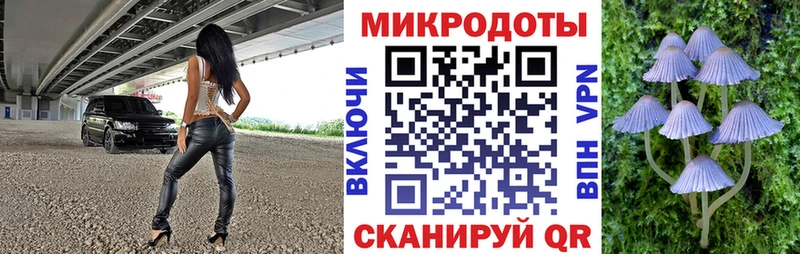 Галлюциногенные грибы Psilocybe  Зерноград 